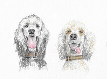 Load image into Gallery viewer, Personalised pet portrait