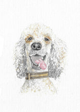 Load image into Gallery viewer, Personalised pet portrait