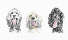 Load image into Gallery viewer, Personalised pet portrait