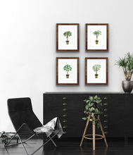 Load image into Gallery viewer, Coconut Palm Tree Botanical Print