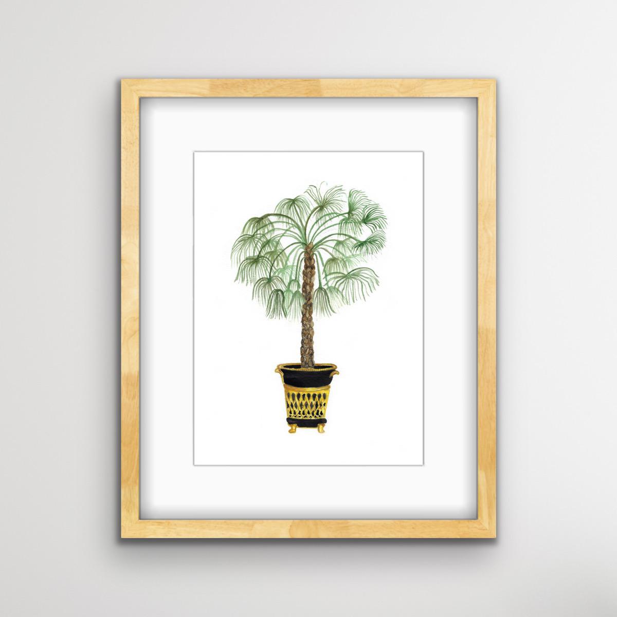 Chinese Fan Palm Tree Botanical Print – Victoria Cronin Studio