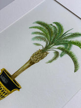 Load image into Gallery viewer, Sets of Palm Tree Limited Edition Prints