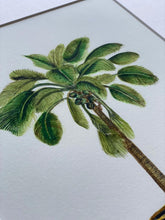 Load image into Gallery viewer, Coconut Palm Tree Botanical Print