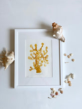 Load image into Gallery viewer, Original Colourful Coral Painting - Framed and mounted