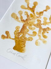 Load image into Gallery viewer, Original Colourful Coral Painting - Framed and mounted