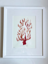 Load image into Gallery viewer, Original Colourful Coral Painting - Framed and mounted
