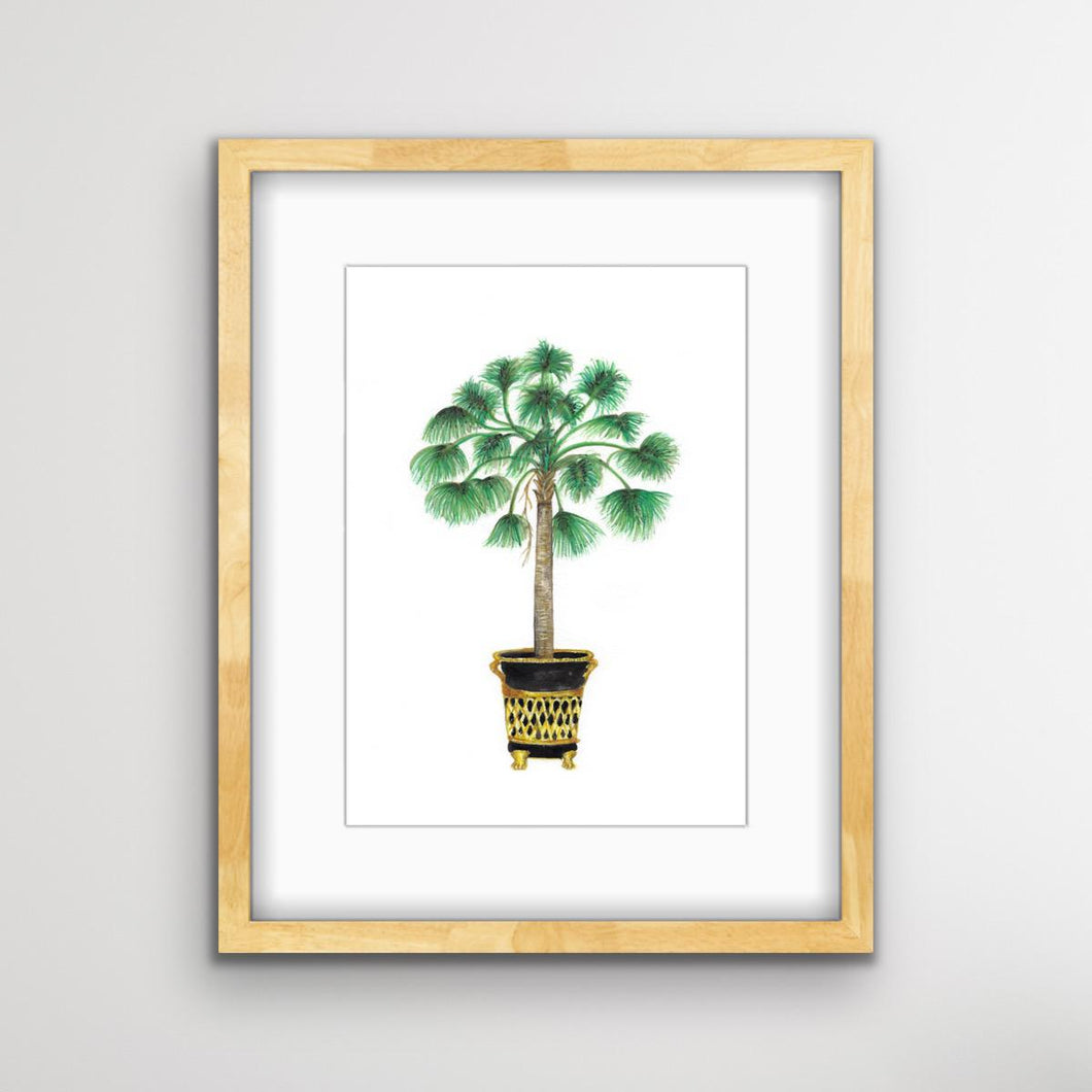Windmill Palm Tree Botanical Print