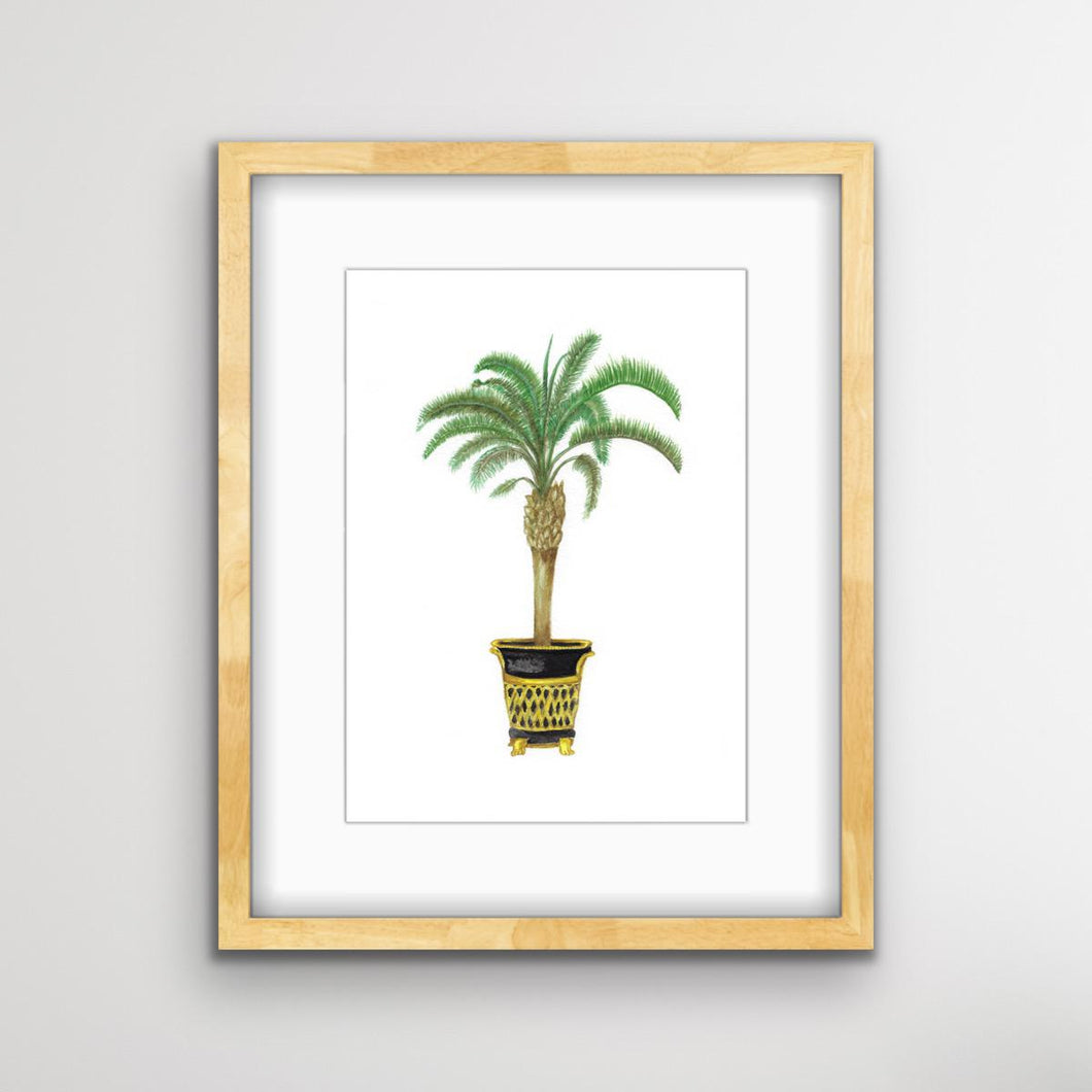 Date Palm Tree Botanical Print