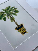 Load image into Gallery viewer, Coconut Palm Tree Botanical Print
