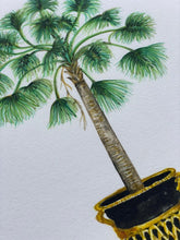 Load image into Gallery viewer, Windmill Palm Tree Botanical Print
